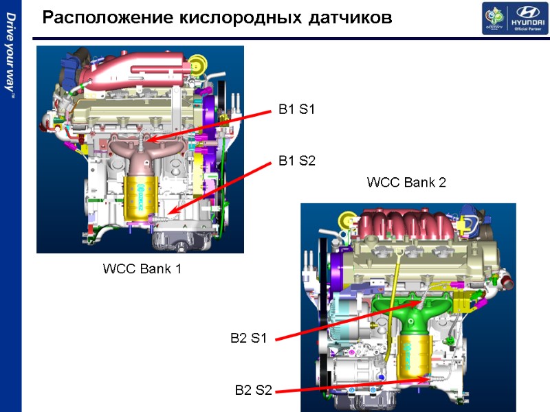 Расположение кислородных датчиков WCC Bank 2  WCC Bank 1  B1 S1 B1